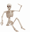 Skeleton
