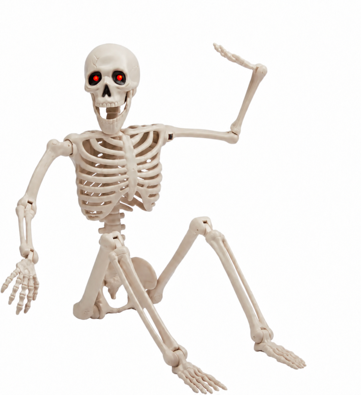 Skeleton